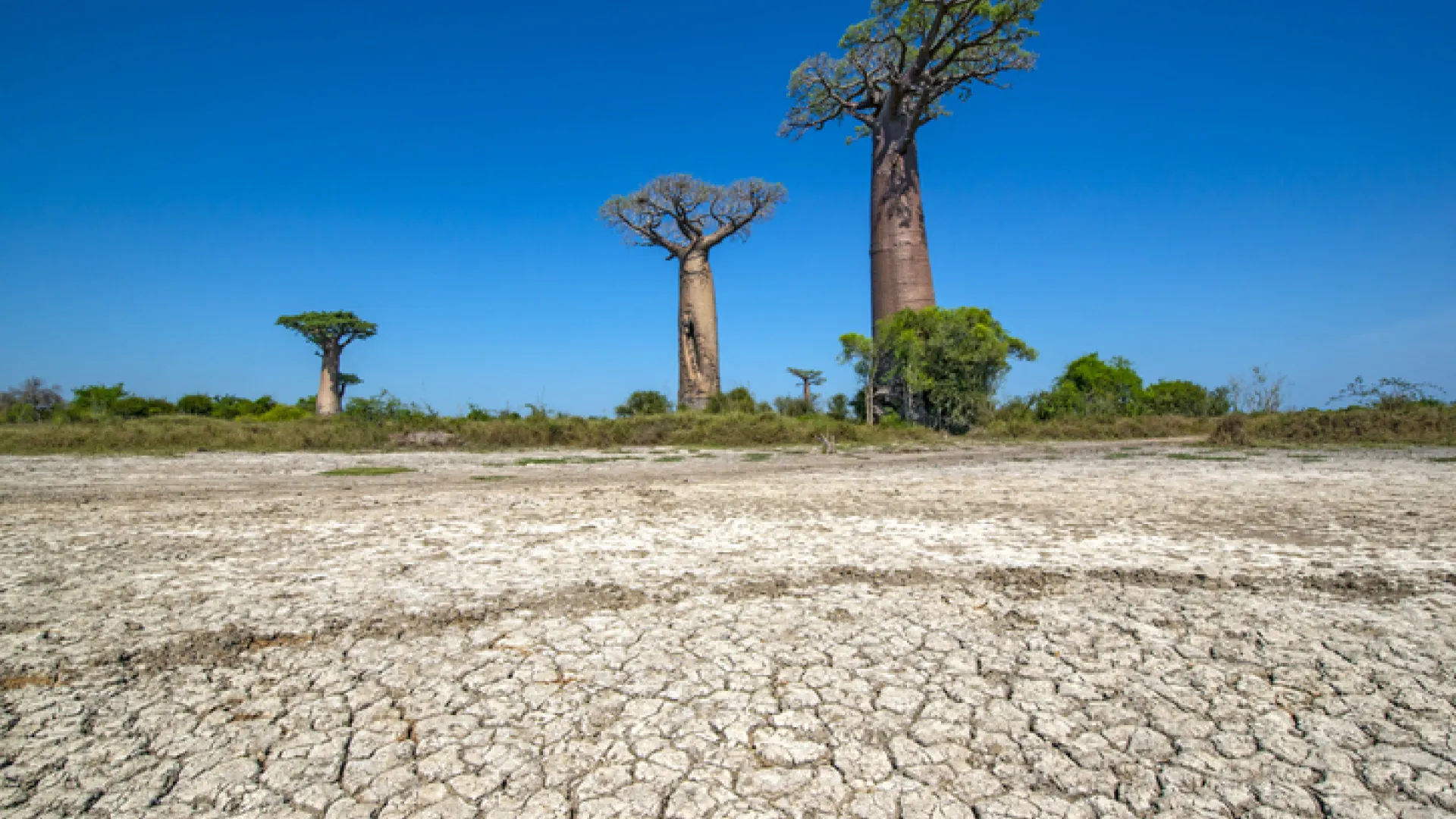 Madagascar drought 