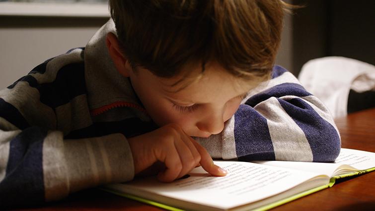 Young boy reading closeup