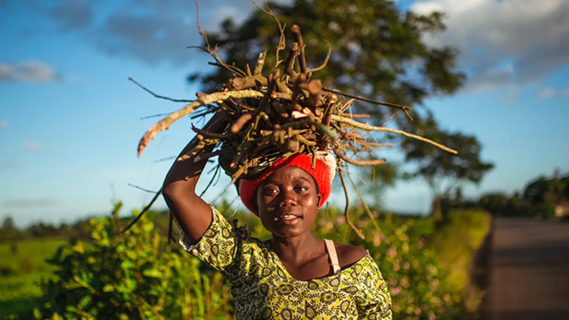Malawi cash transfers