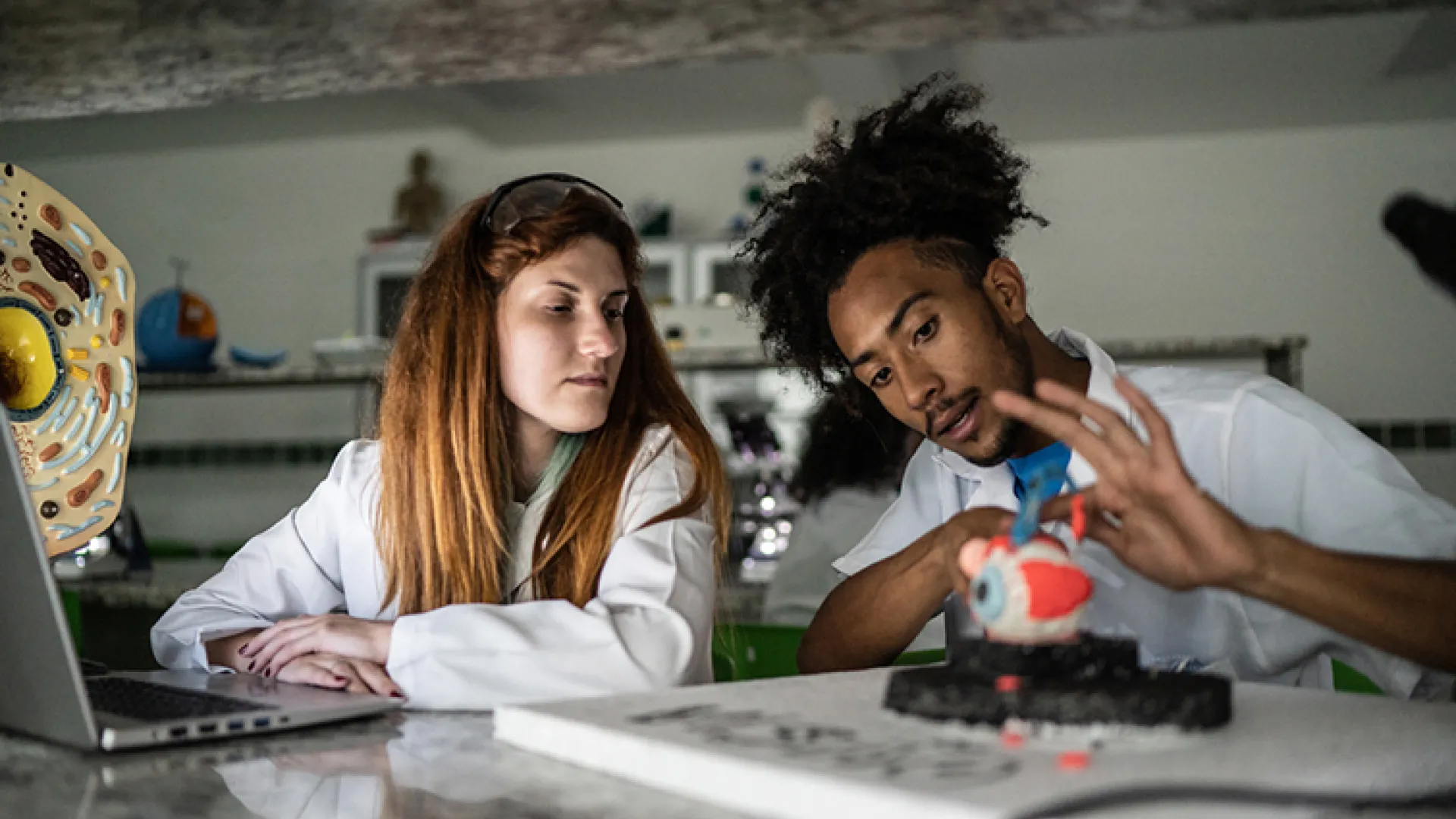 college biology students examining eye model