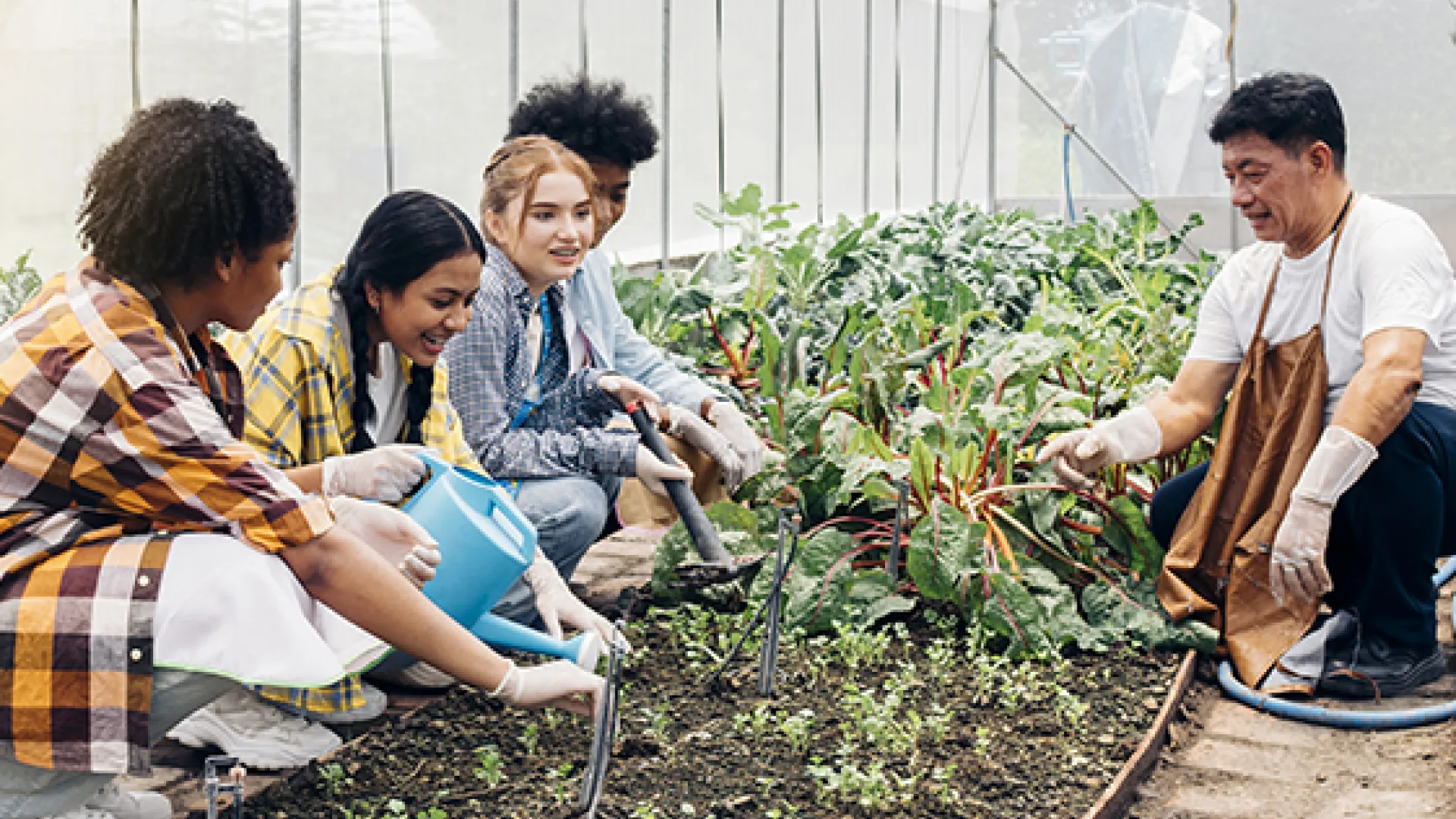 Teens learning about gardening from older adult