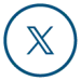 X icon