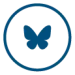 Bluesky icon