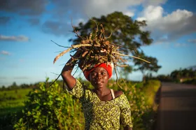 Malawi cash transfers