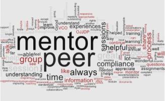 Peer and mentoring word cloud