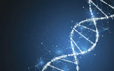 Image of DNA double helix