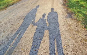 Shadows