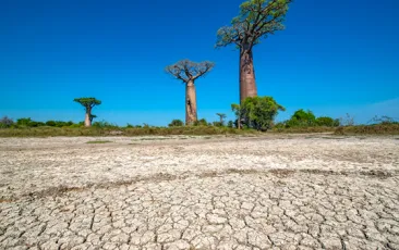 Madagascar drought 
