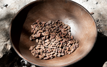Fermented cocoa beans ready for old-fashion roasting