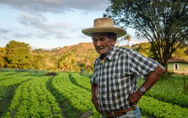 Portrait of an old man on an organic lettuce plantation