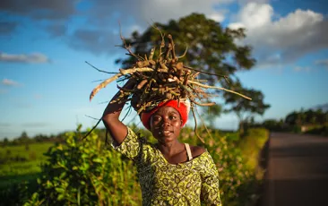 Malawi cash transfers