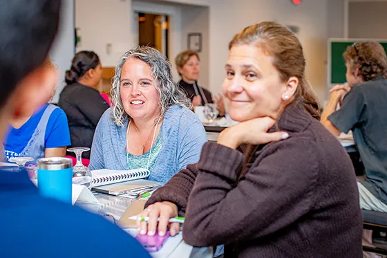 Teachers in professional development