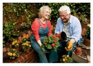 Older couple gardening