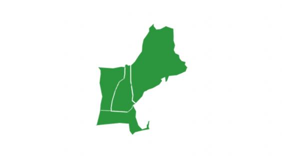 Region 1 Comprehensive Center - Northeastern states