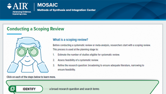 MOSAIC scoping review infographic