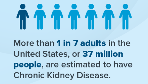 Graphic: More than 1 in 7 adults in the U.S. has Chronic Kidney Disease