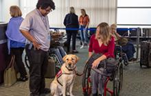 Image of woman in a wheelchair with a guide dog in an airport 
