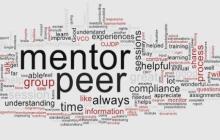 Peer and mentoring word cloud