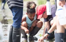 Children playing on Thompson Island