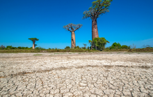 Madagascar drought 