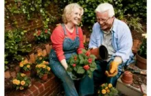Older couple gardening