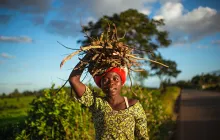 Malawi cash transfers