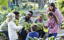 Teachers and young students in community garden