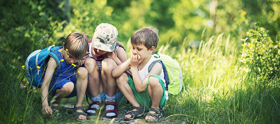 Image of young children looking at bugs in a field